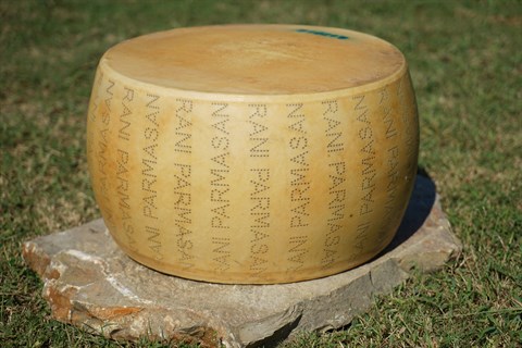 Parmesan Peyniri Teker 35 kg (18-22 ay)
