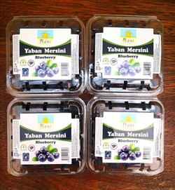 4lü Blueberry-Yaban Mersini(500 gr)