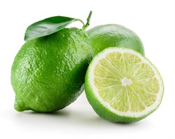 Organik Yeşil Limon (kg)