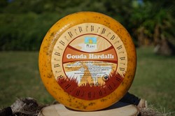Hardallı Gouda Peyniri (240-260gr)